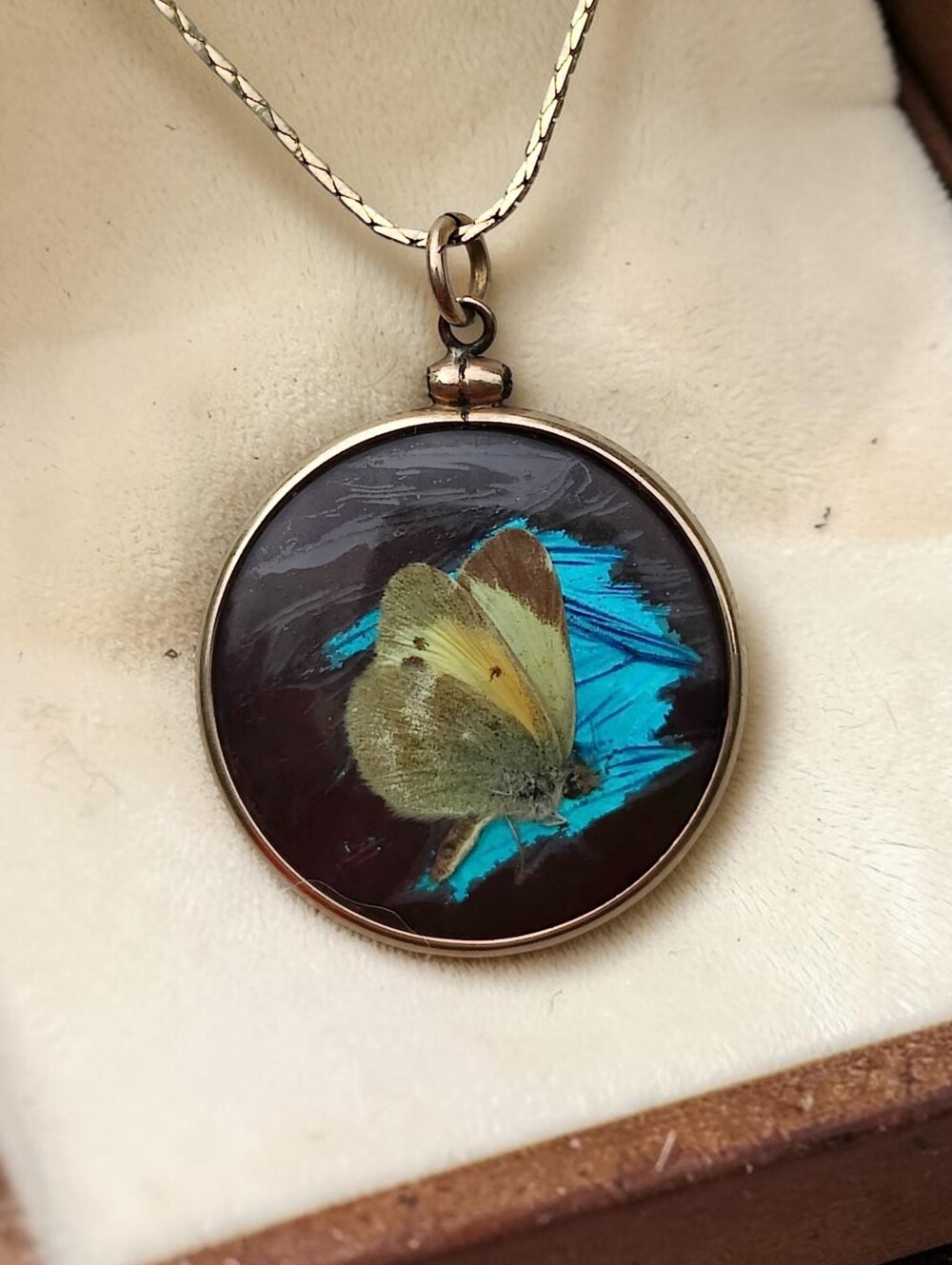 🦋 Antique Victorian Morpho Butterfly Pendant Necklace
